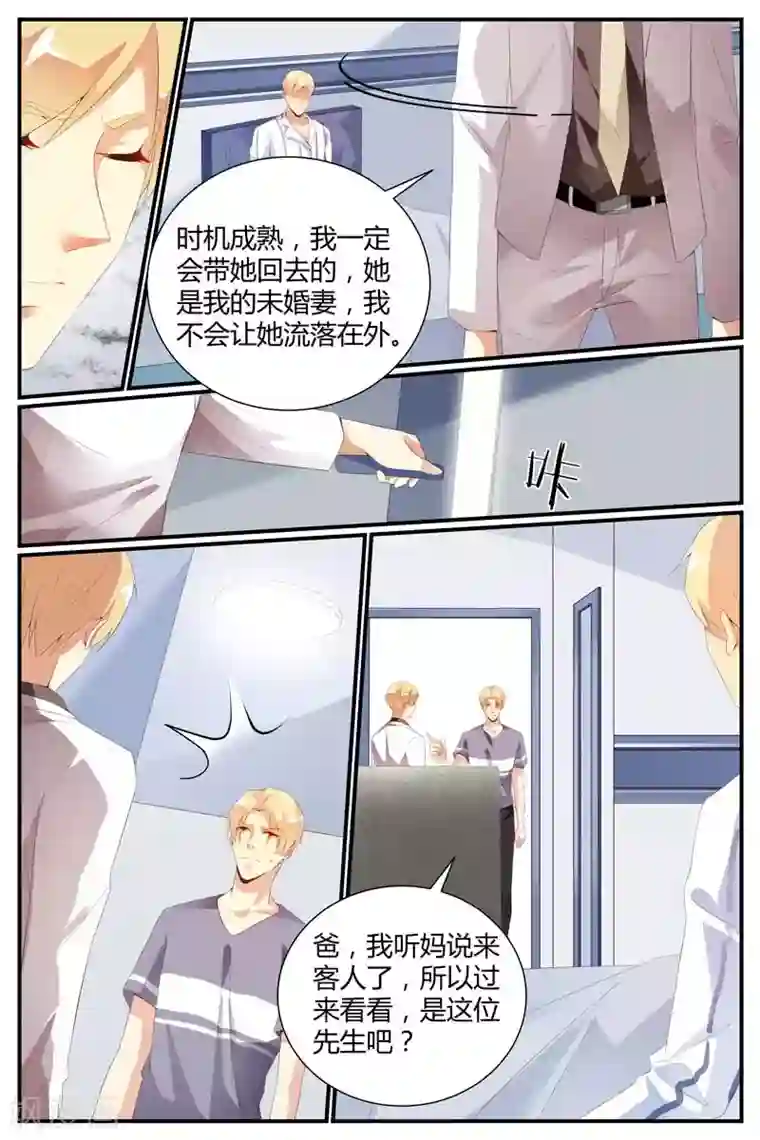 糖枫树的情书第40话