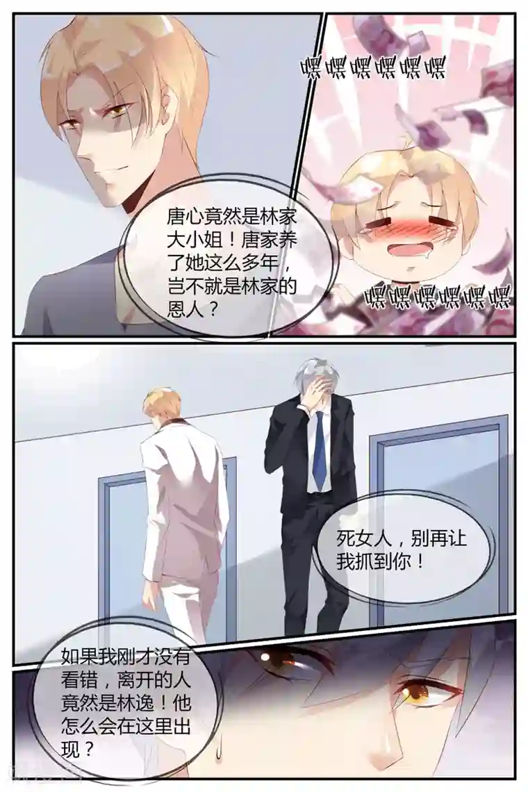 糖枫树的情书第40话