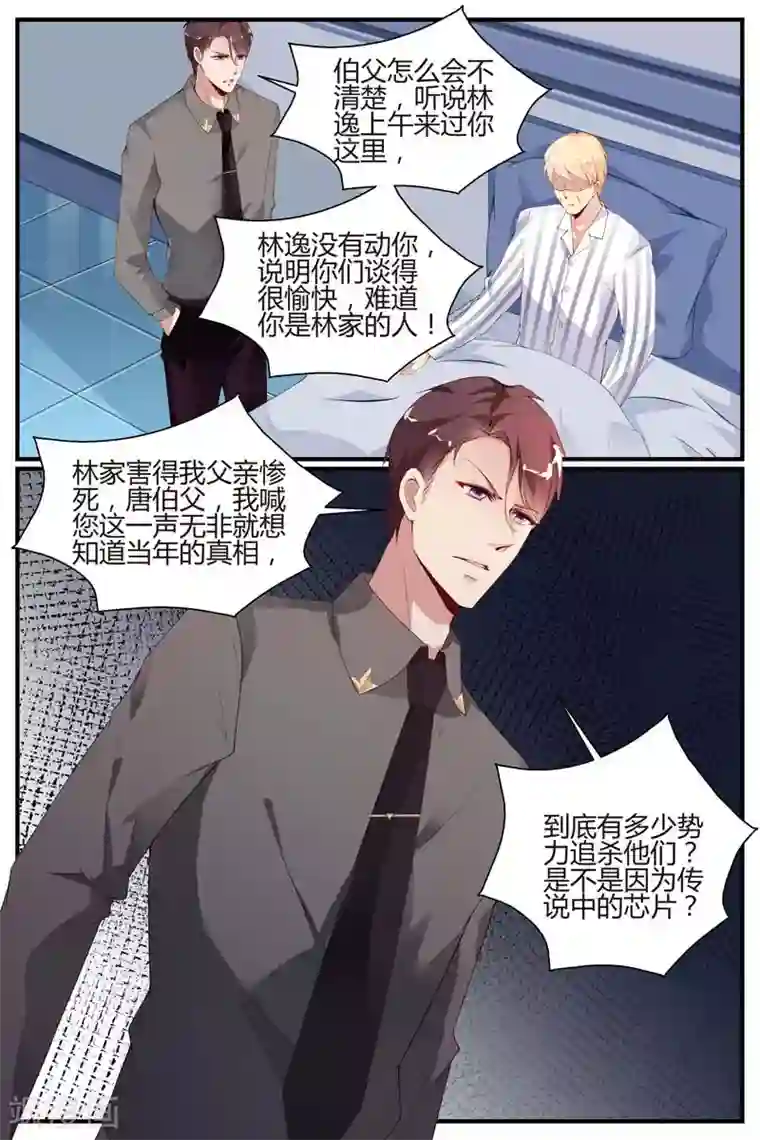 糖枫树的情书第41话