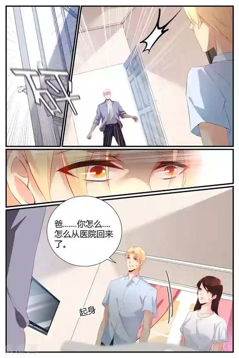 糖枫树的情书第42话