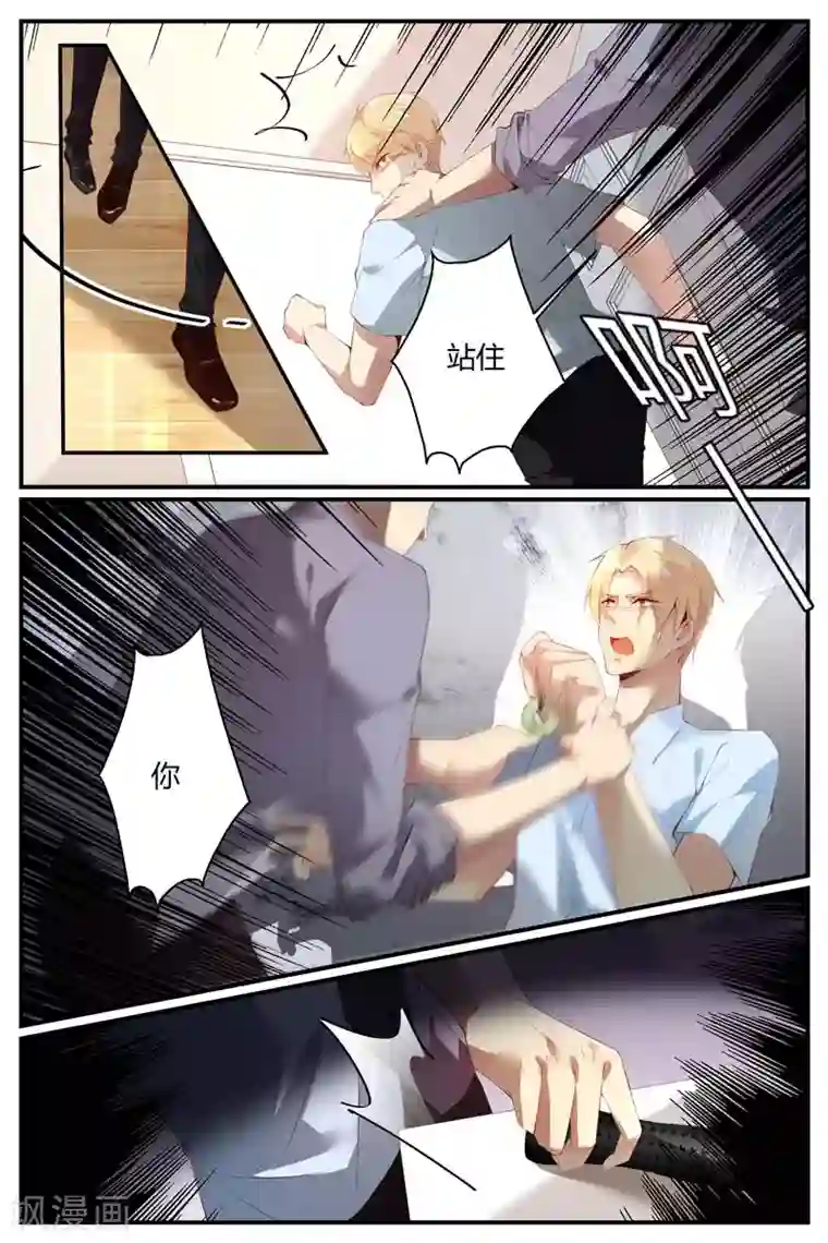 糖枫树的情书第42话