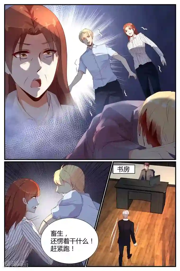 糖枫树的情书第42话