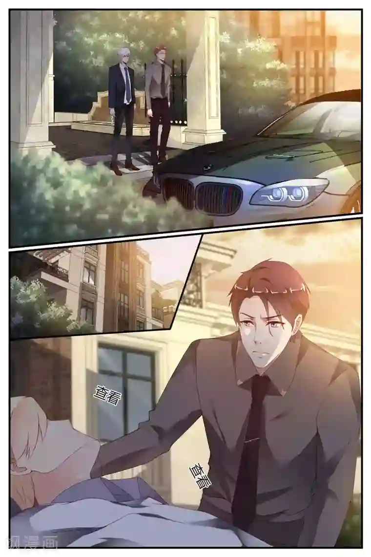 糖枫树的情书第43话