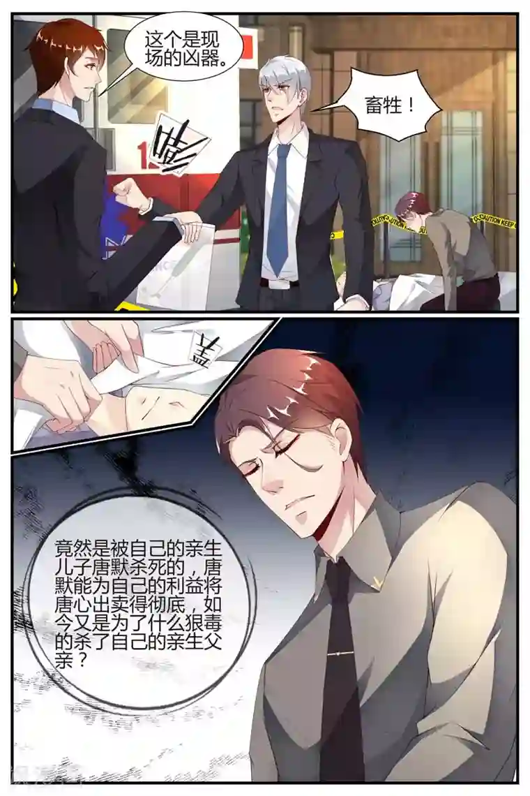 糖枫树的情书第43话