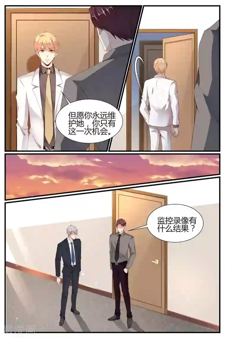 糖枫树的情书第43话