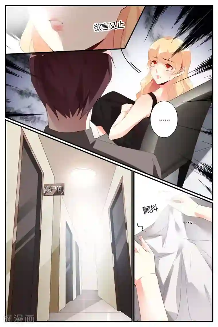 糖枫树的情书第44话