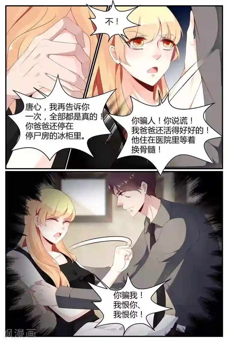 糖枫树的情书第45话