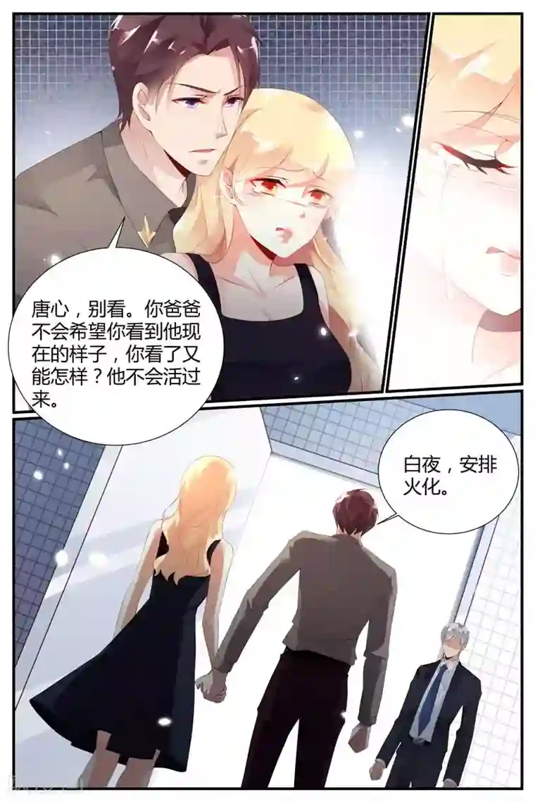 糖枫树的情书第46话