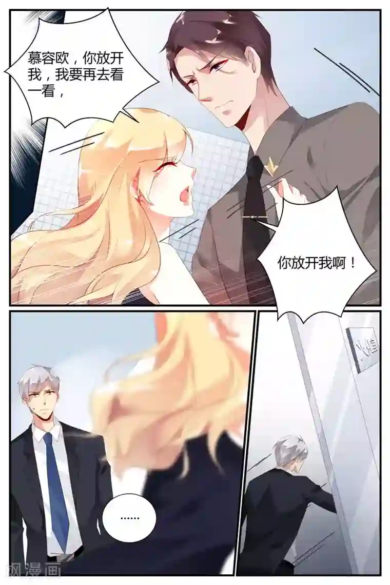 糖枫树的情书第46话