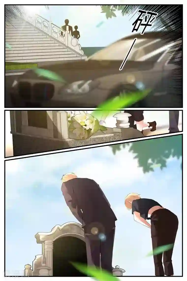 糖枫树的情书第46话