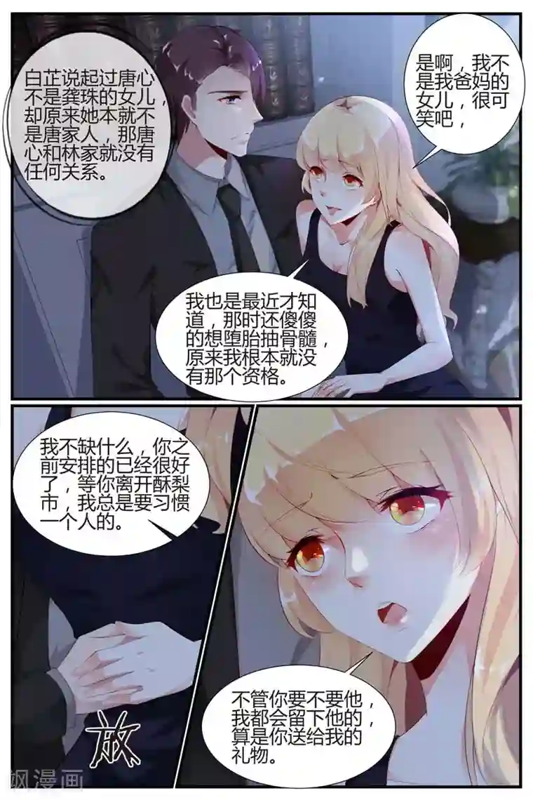 糖枫树的情书第47话