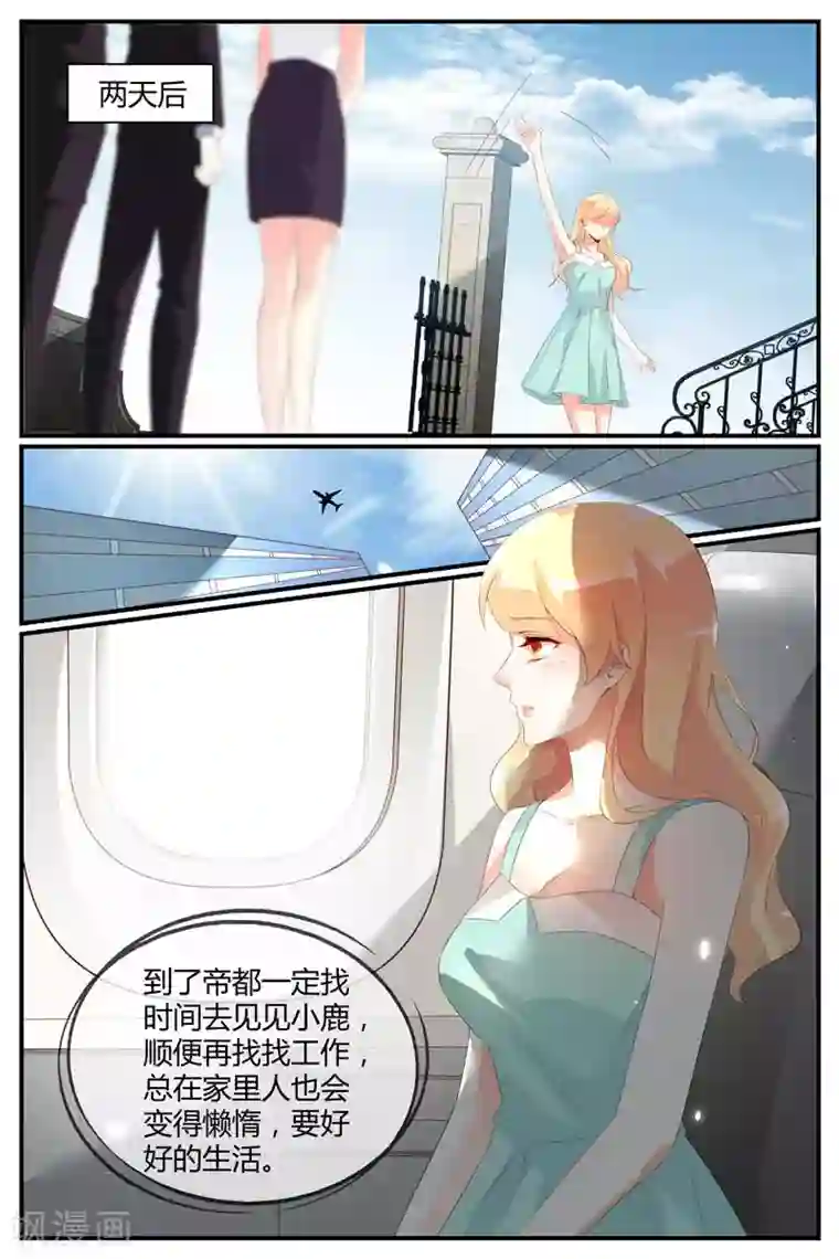 糖枫树的情书第48话