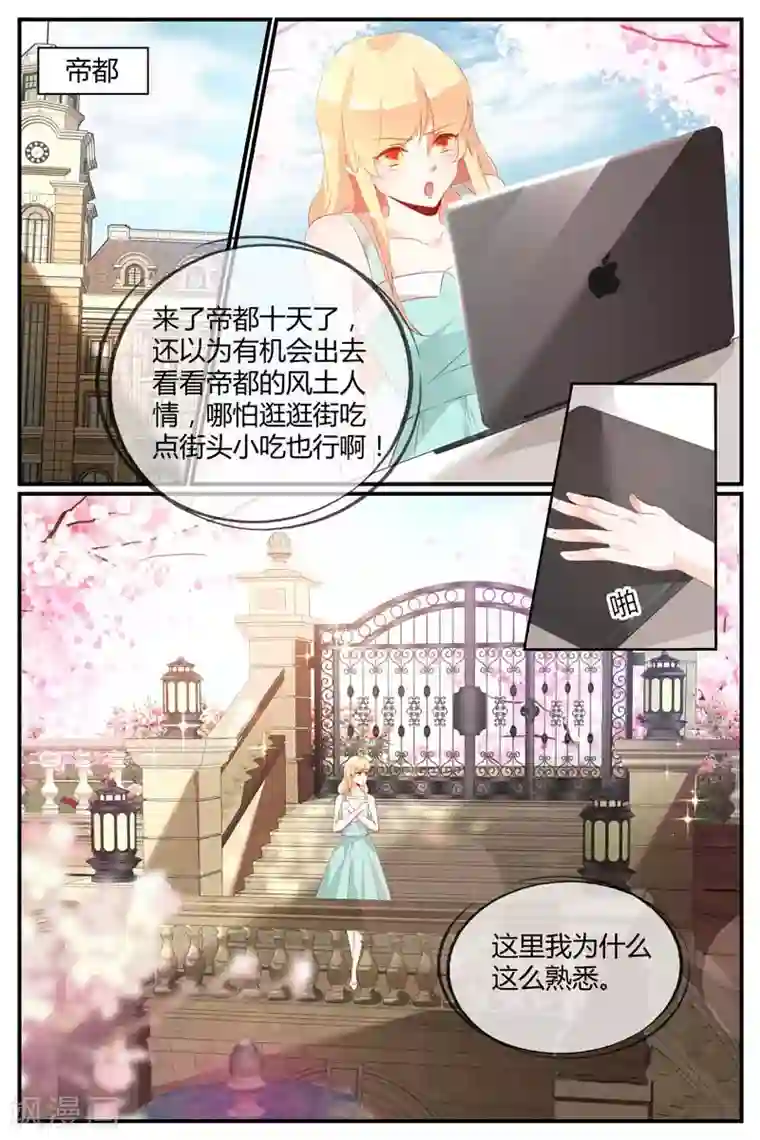 糖枫树的情书第48话