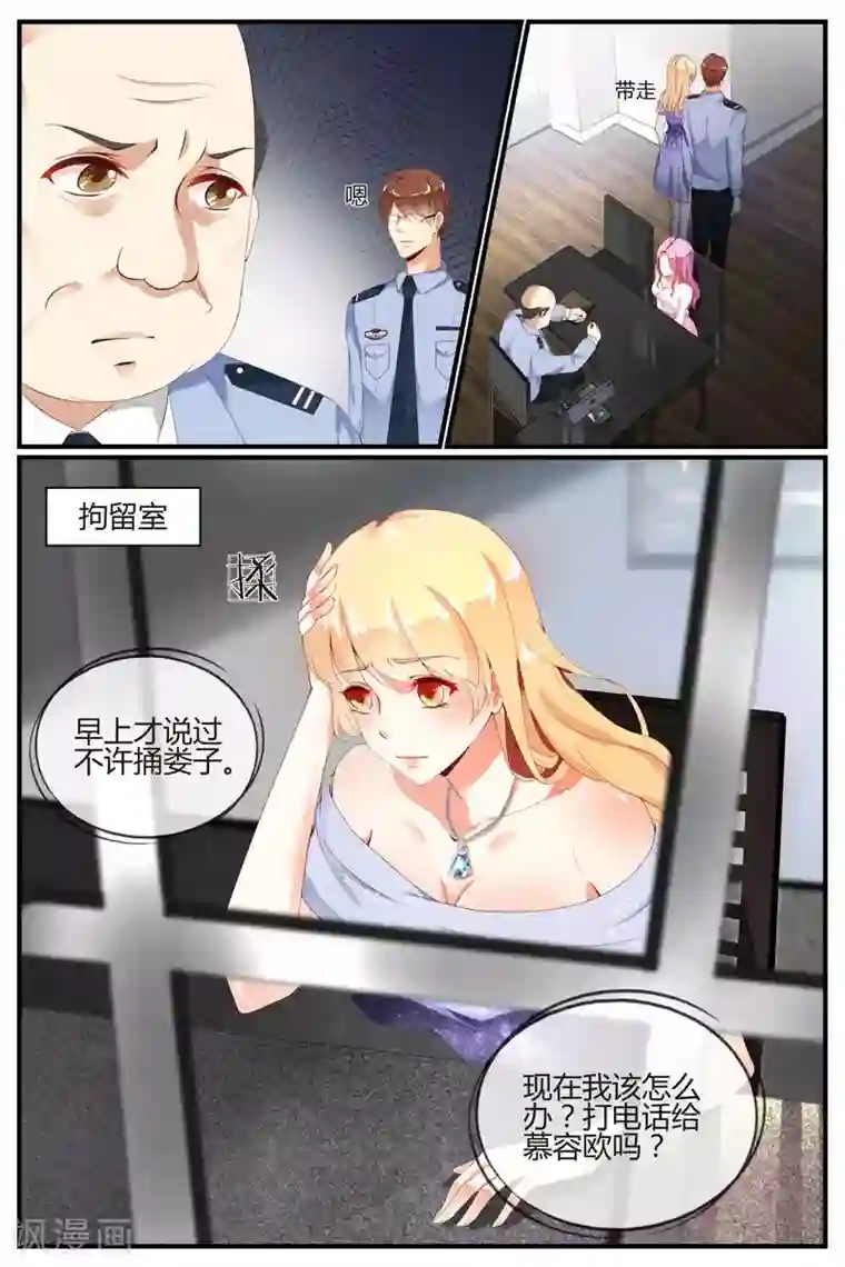 糖枫树的情书第51话