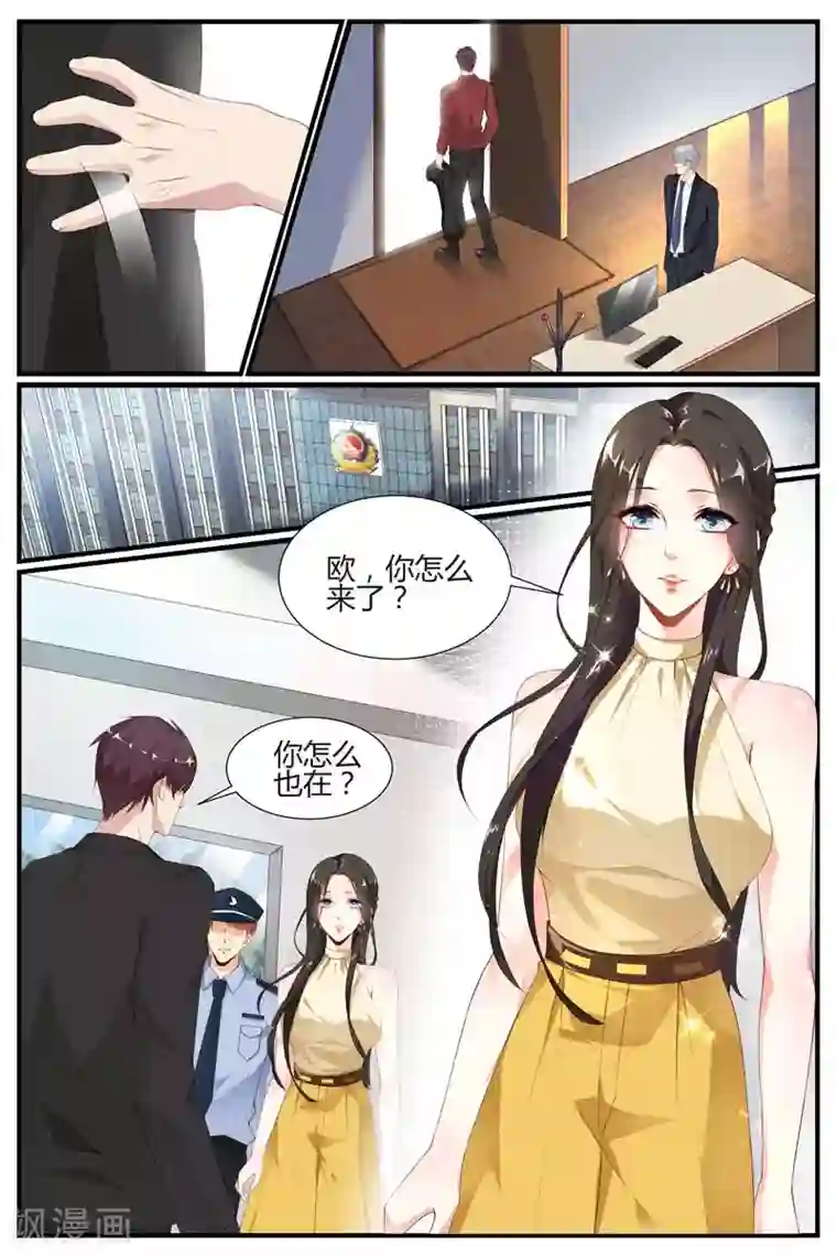 糖枫树的情书第51话