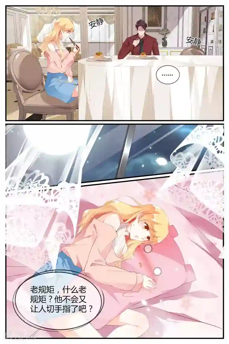 糖枫树的情书第54话