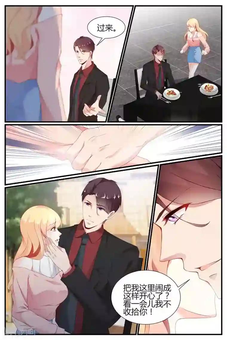 糖枫树的情书第55话