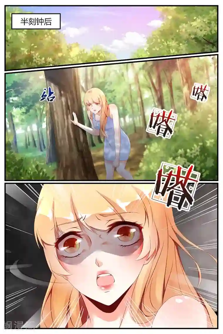 糖枫树的情书第63话