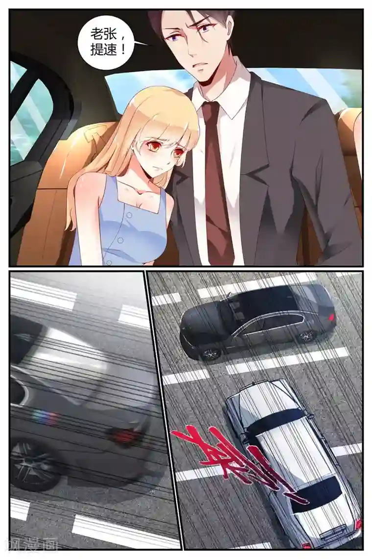 糖枫树的情书第63话