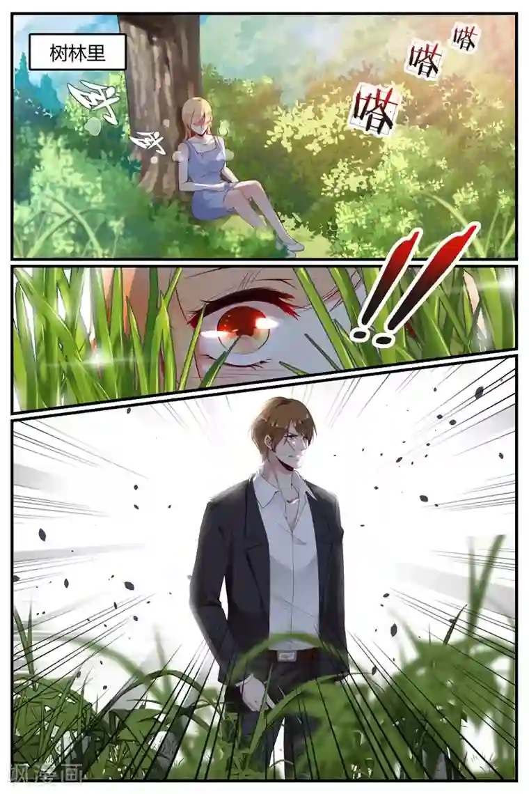 糖枫树的情书第63话