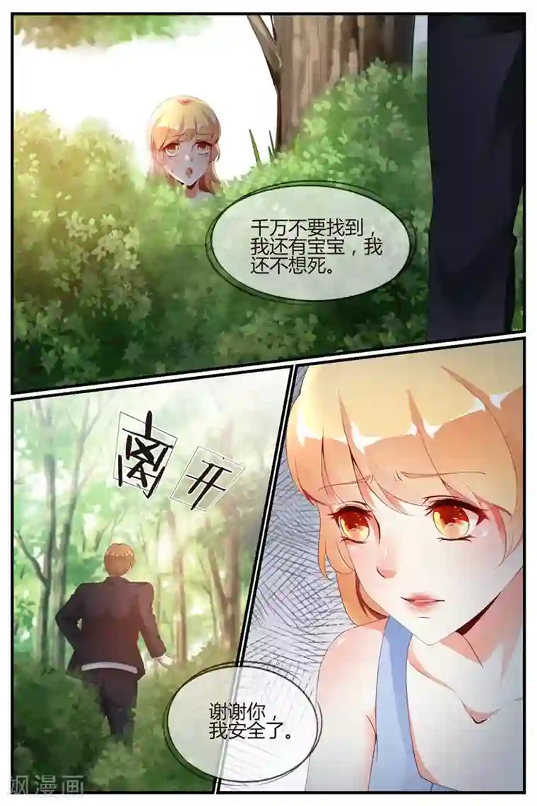 糖枫树的情书第63话