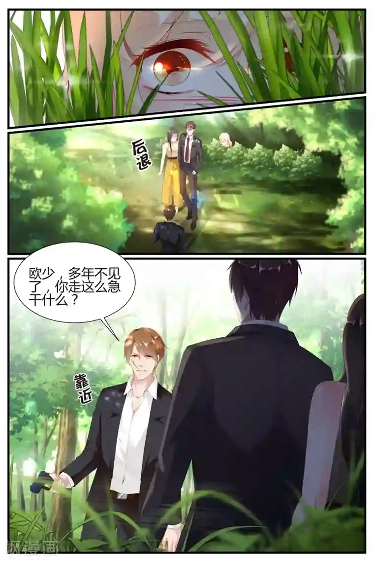 糖枫树的情书第64话