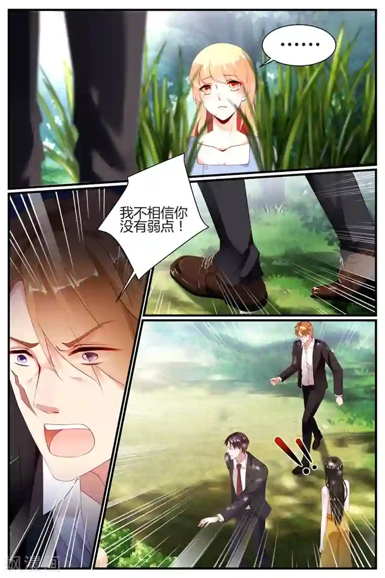 糖枫树的情书第64话