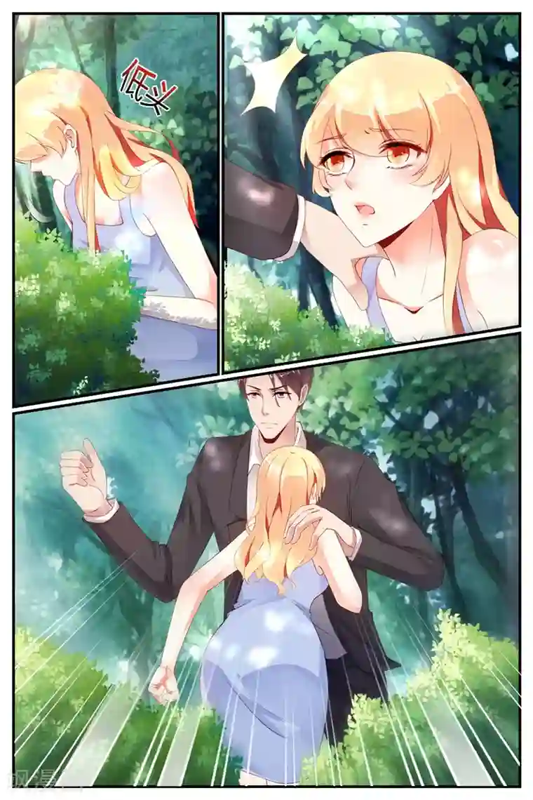 糖枫树的情书第64话