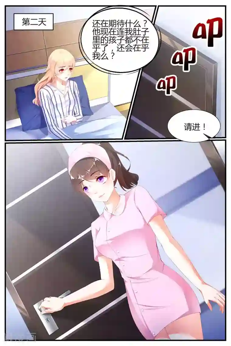 糖枫树的情书第67话