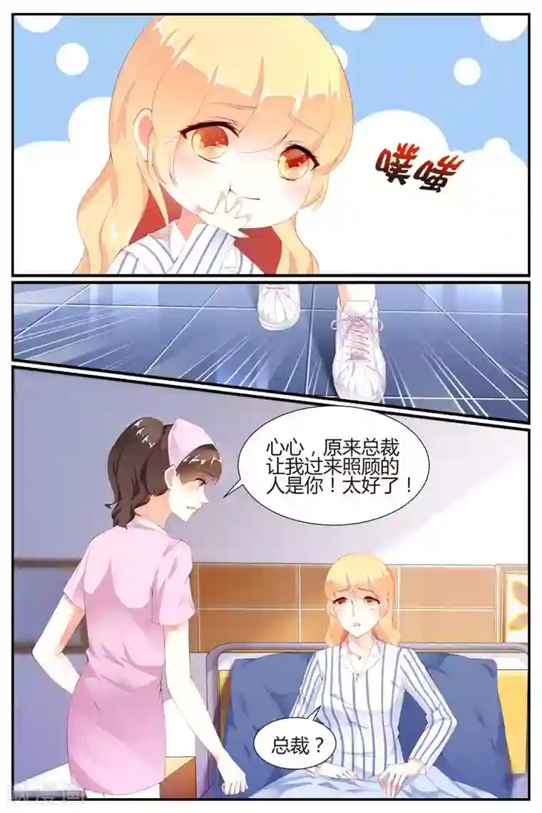 糖枫树的情书第67话