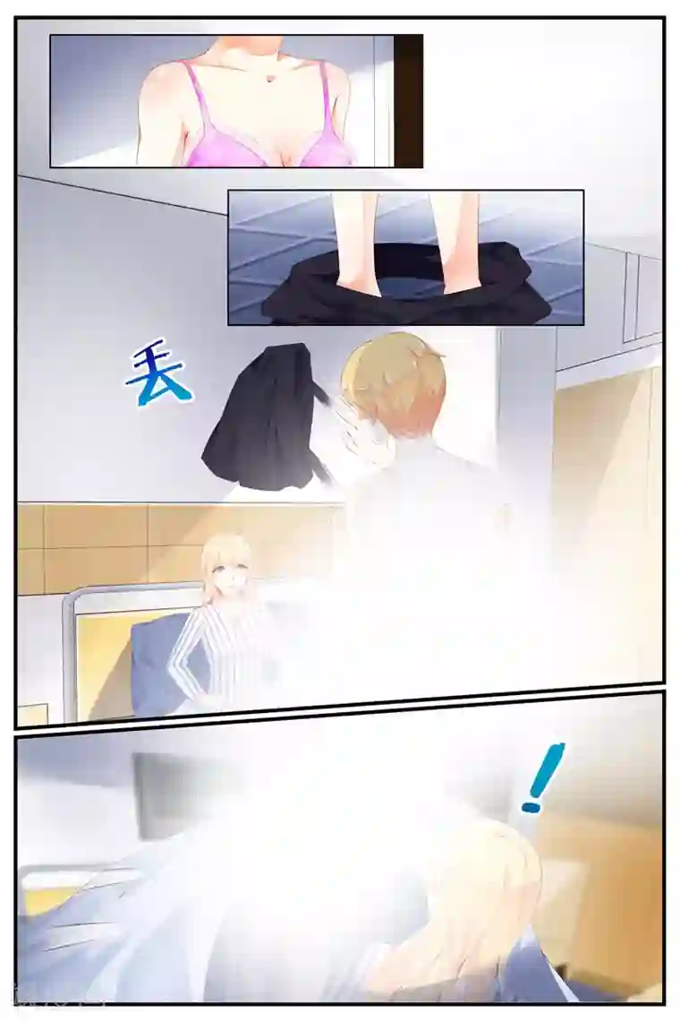 糖枫树的情书第67话