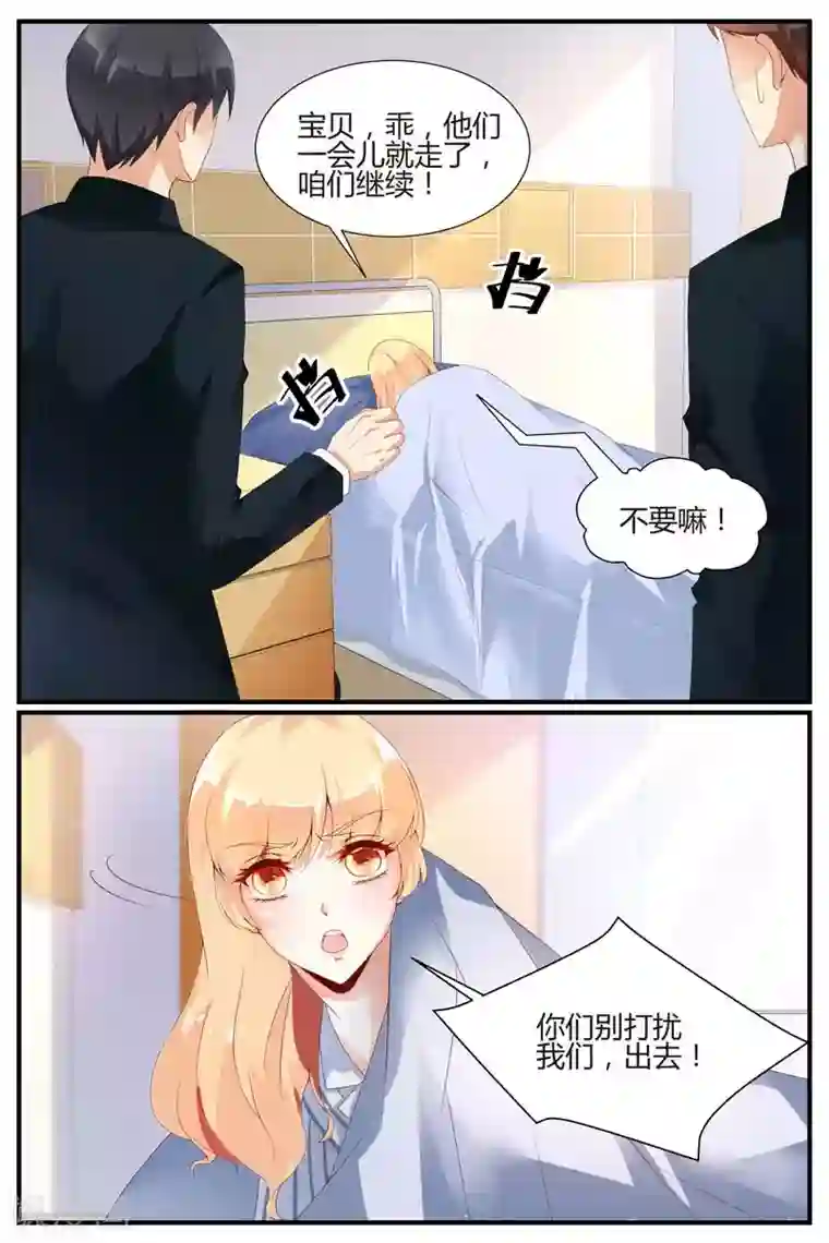 糖枫树的情书第68话