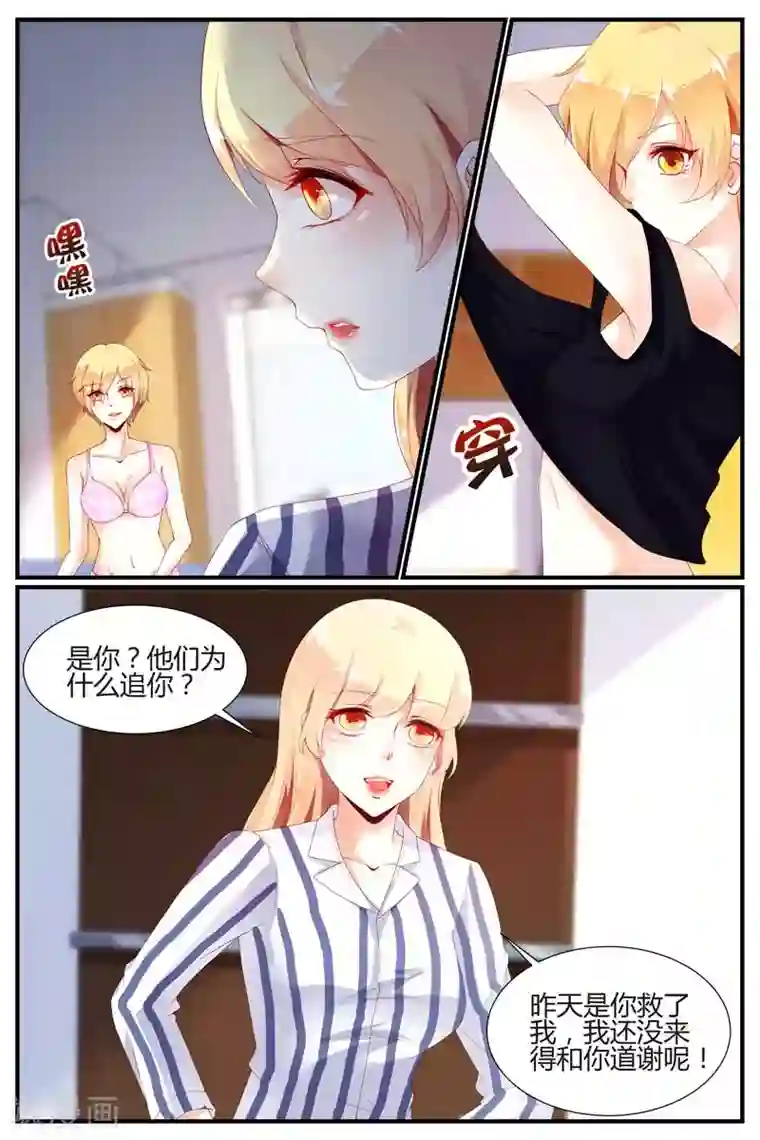 糖枫树的情书第68话