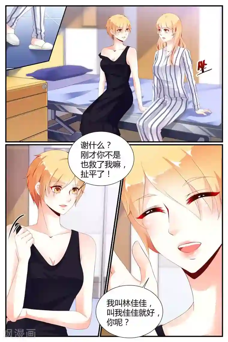 糖枫树的情书第68话