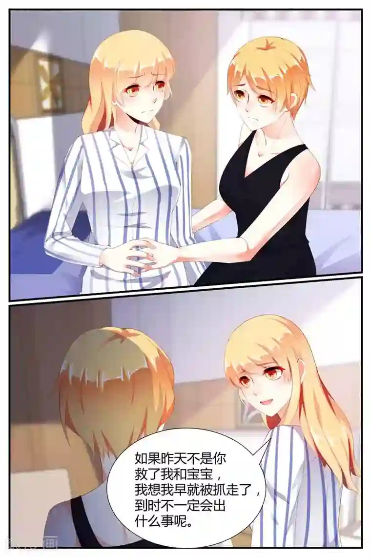 糖枫树的情书第68话