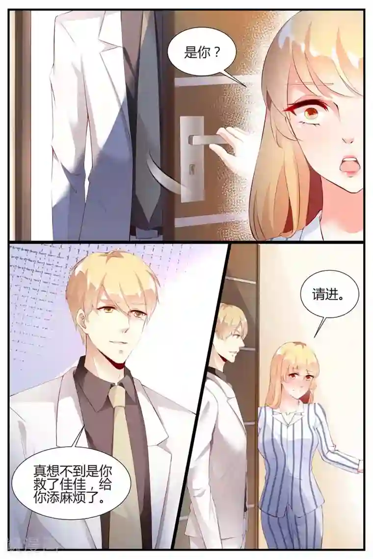 糖枫树的情书第70话