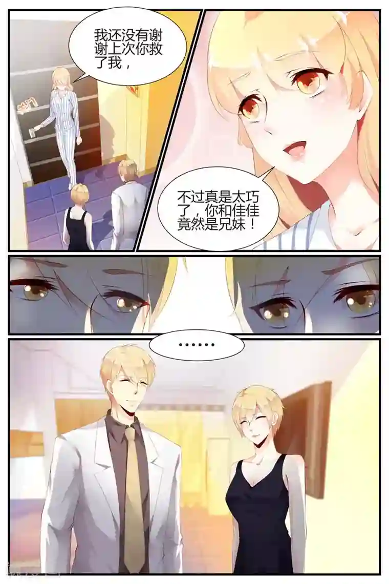 糖枫树的情书第70话