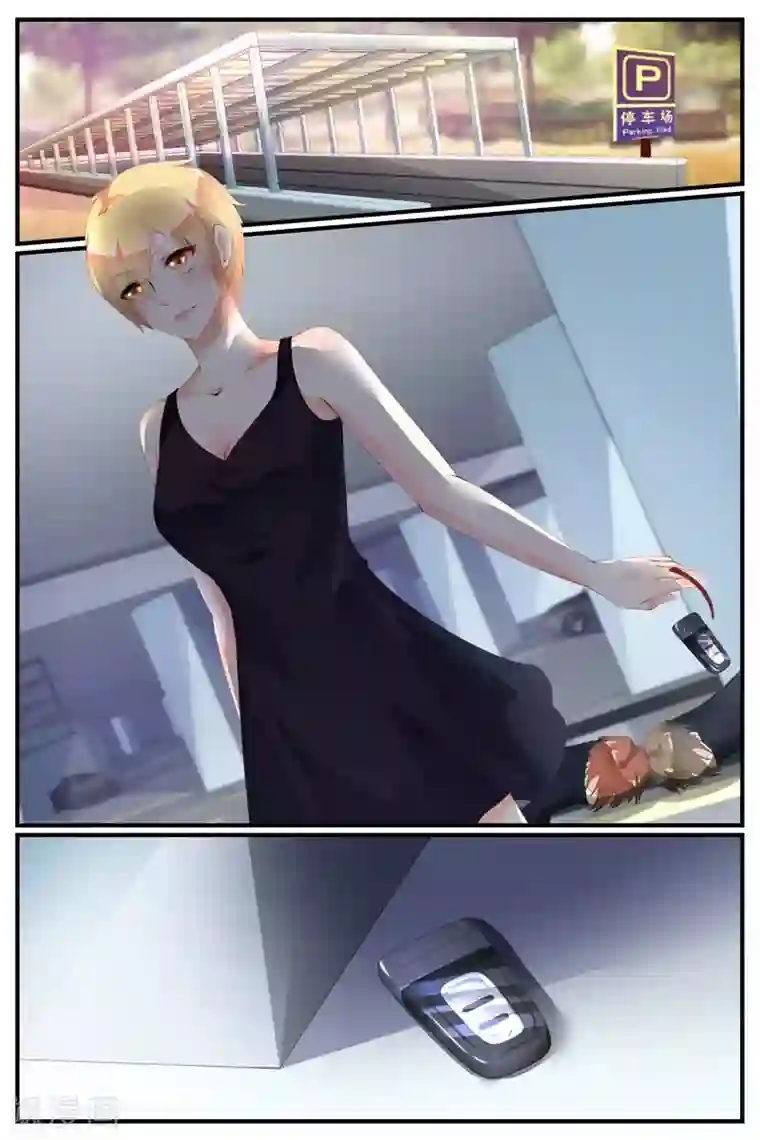 糖枫树的情书第71话