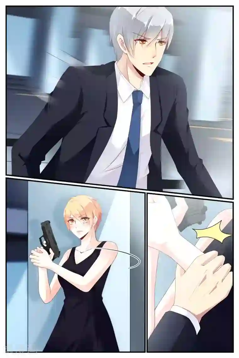 糖枫树的情书第71话