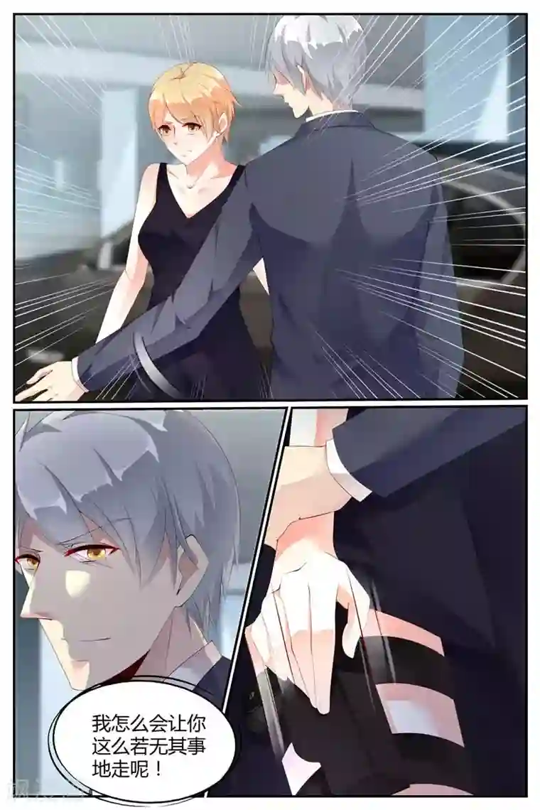 糖枫树的情书第71话