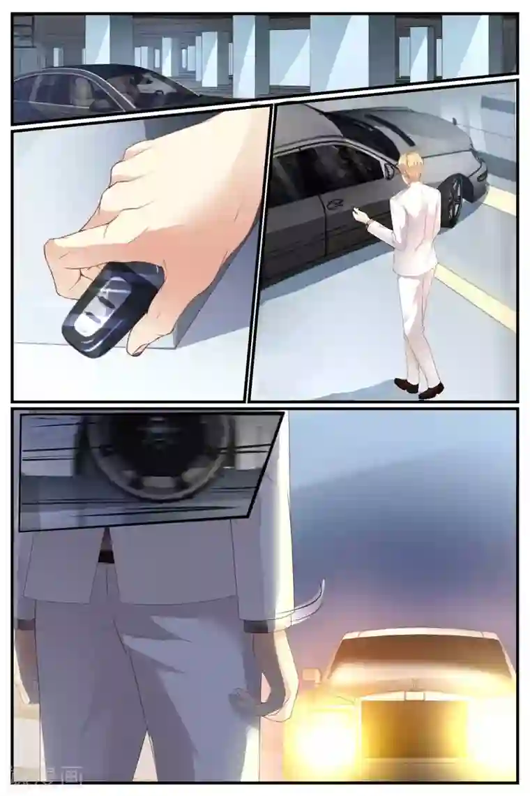 糖枫树的情书第72话