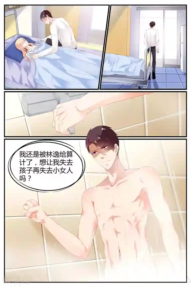 糖枫树的情书第73话