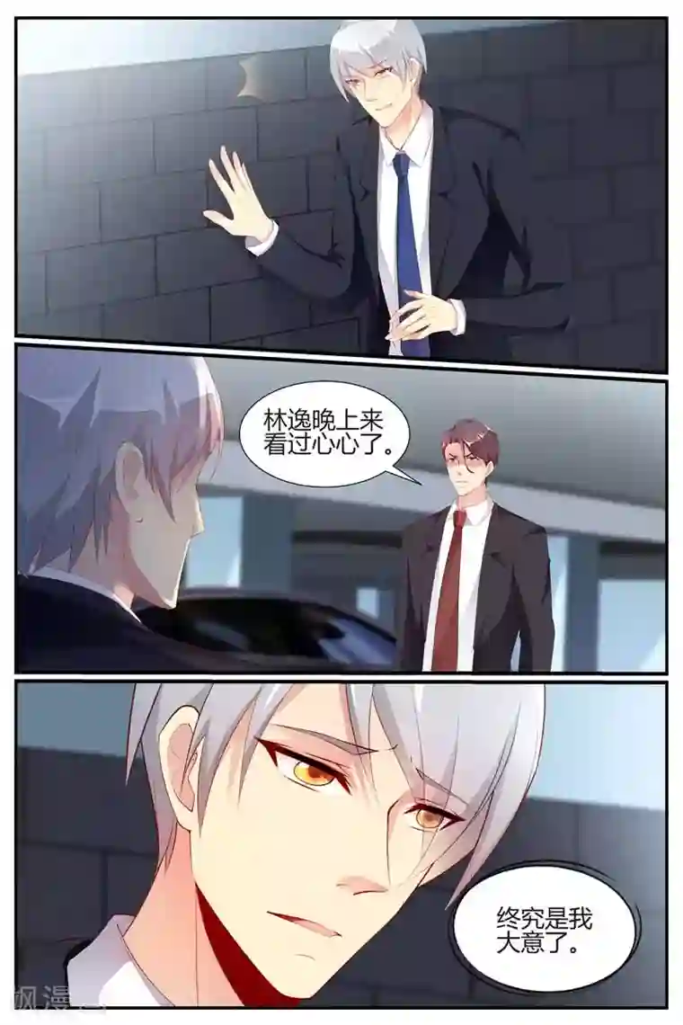 糖枫树的情书第73话