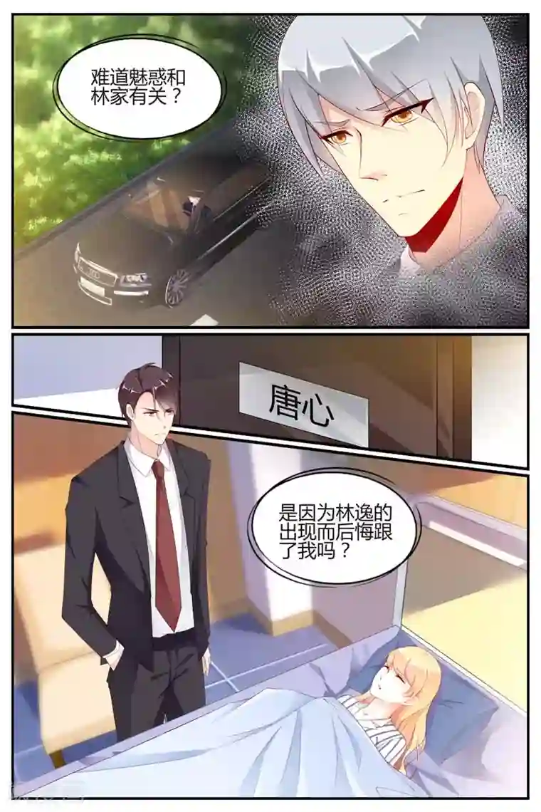 糖枫树的情书第73话