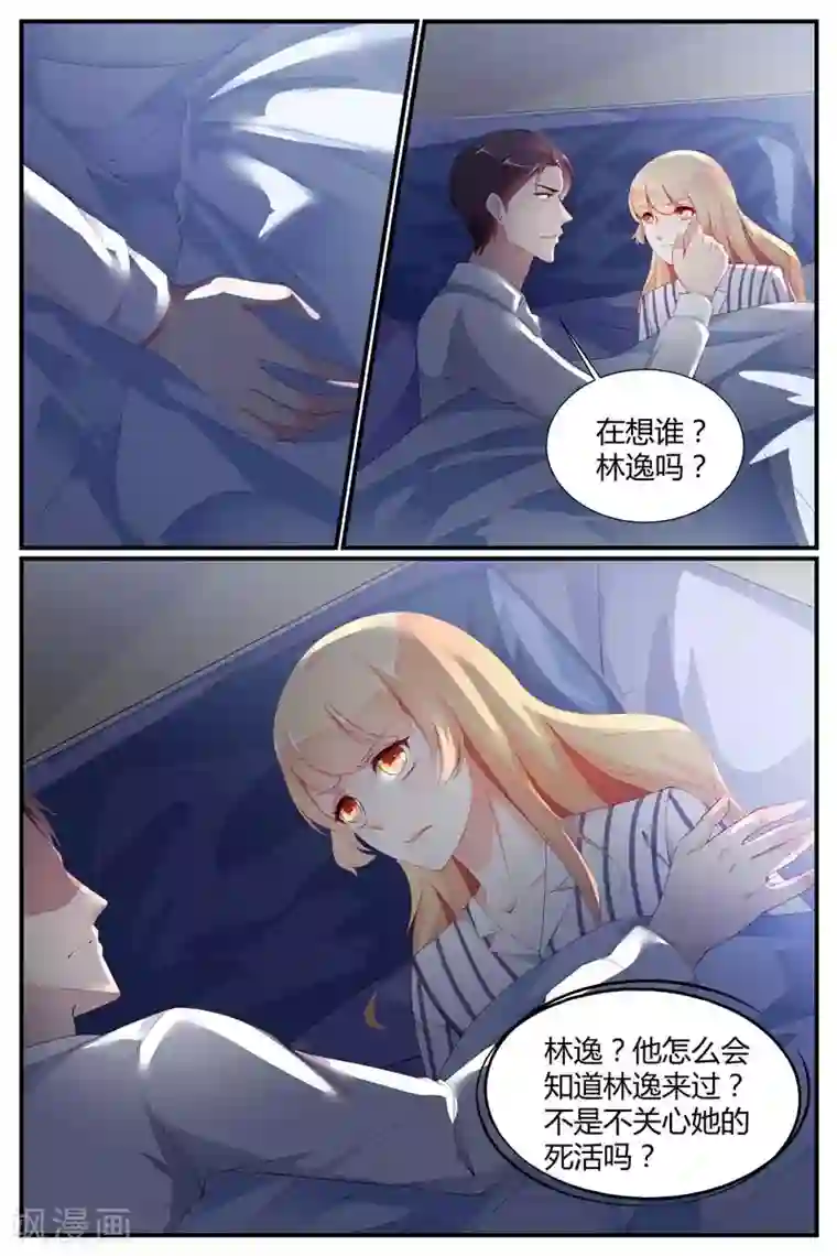 糖枫树的情书第73话