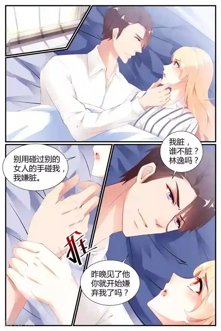 糖枫树的情书第73话
