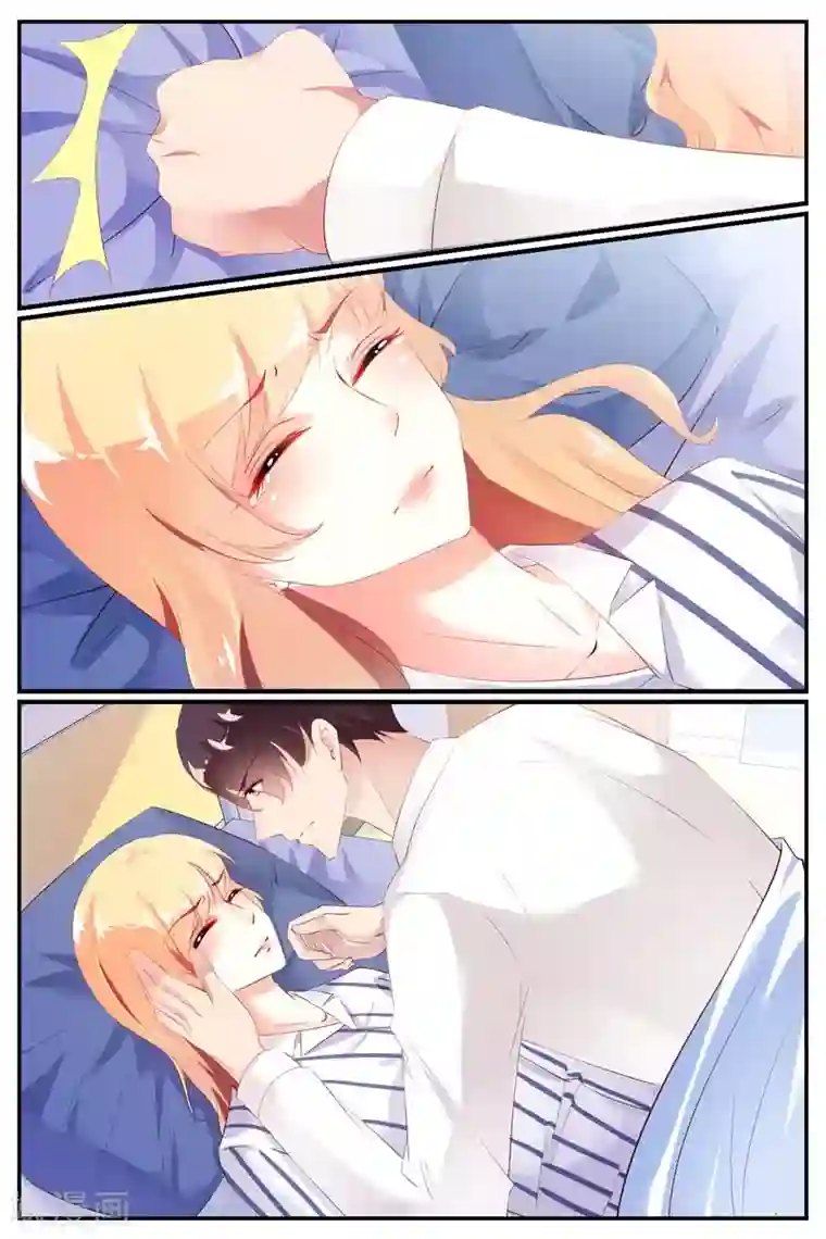 糖枫树的情书第73话