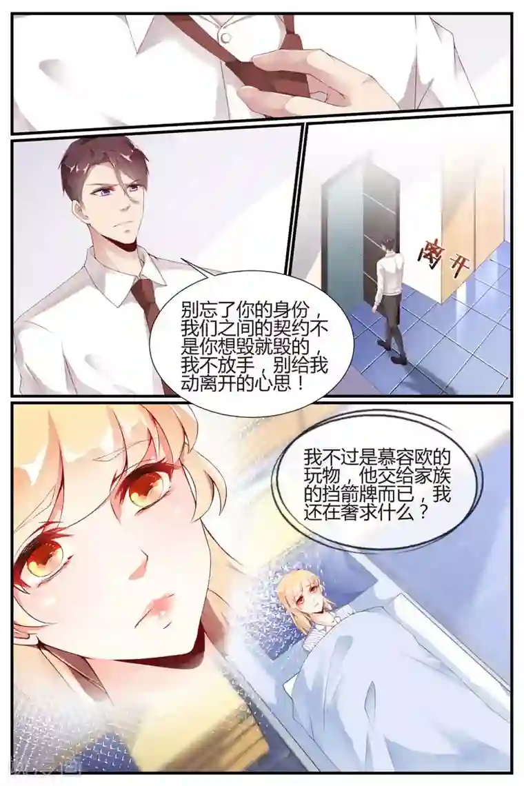 糖枫树的情书第74话