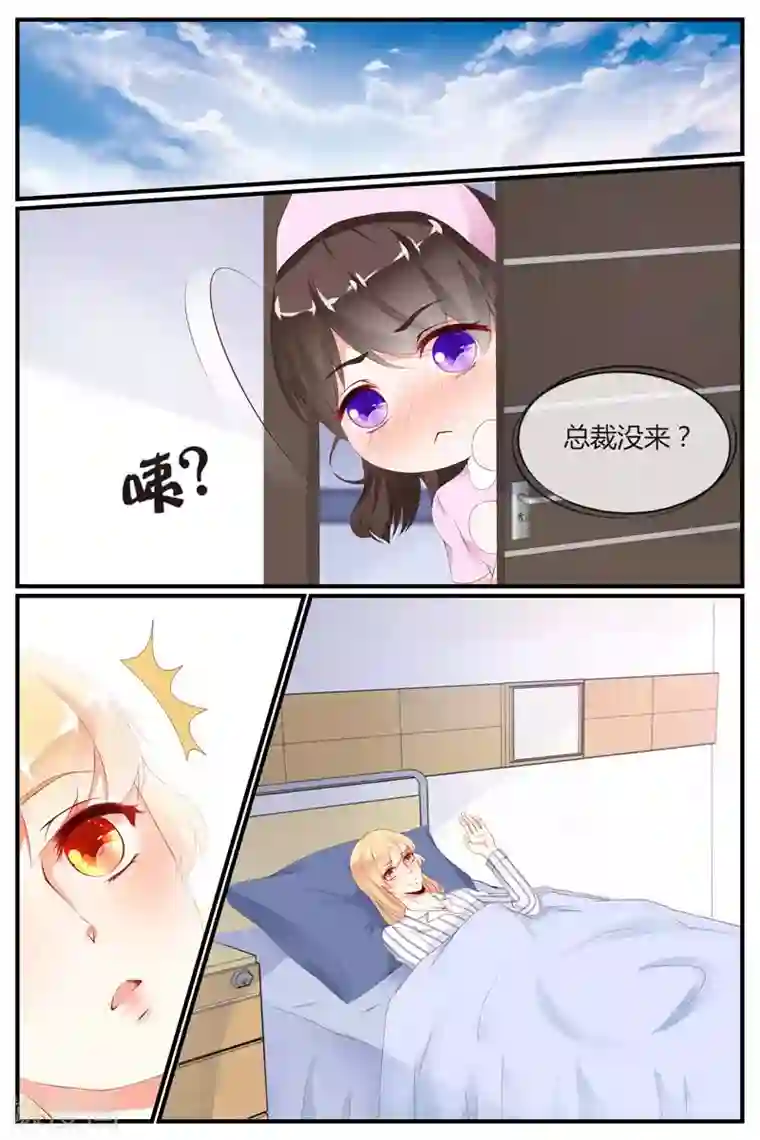 糖枫树的情书第74话