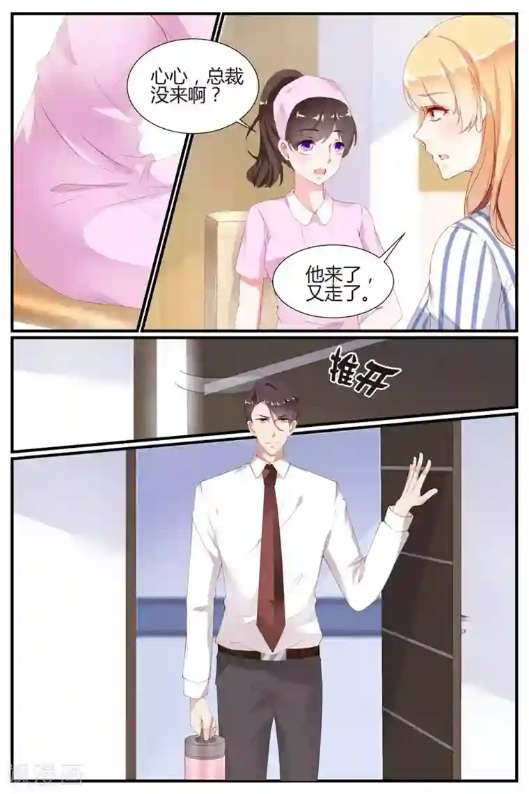 糖枫树的情书第74话